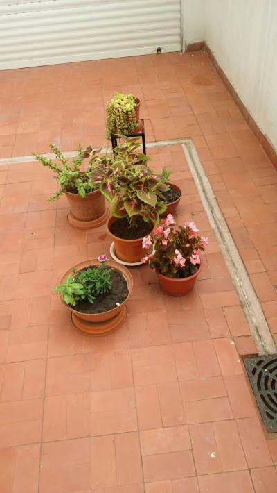 Kurmi Apartment Olavarria Luaran gambar